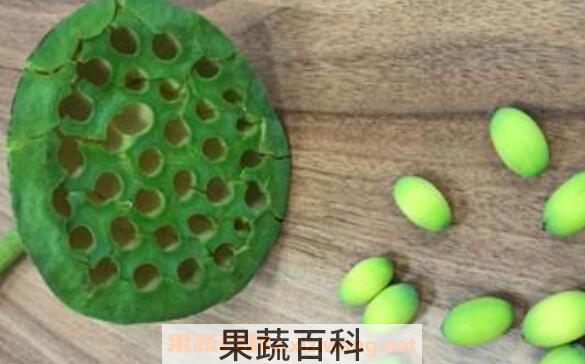莲蓬怎么吃 莲蓬的正确食用方法
