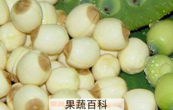 新鲜莲子怎么吃好吃 新鲜莲子怎么保存