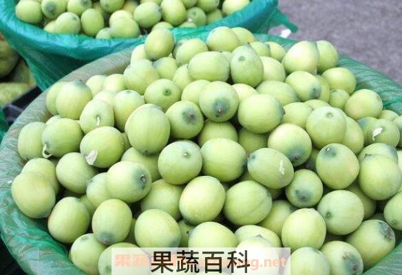 新鲜莲子怎么吃好吃 新鲜莲子怎么保存