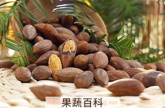 香榧