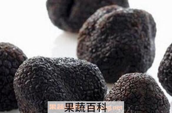 黑松露的功效与作用 吃黑松露的好处