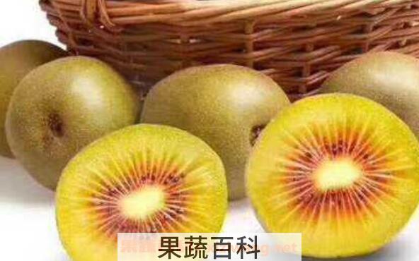 红阳猕猴桃和红心猕猴桃的区别