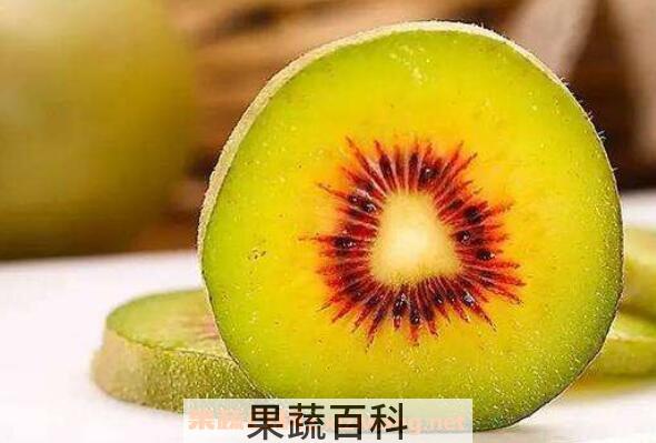 红阳猕猴桃和红心猕猴桃的区别