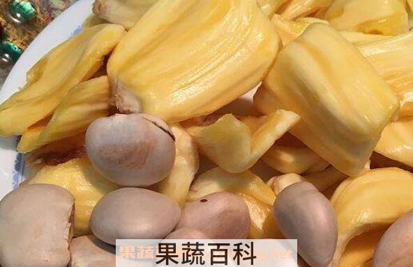 菠萝蜜的核怎么吃 菠萝蜜核的营养价值