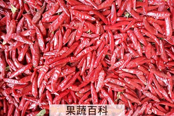 干辣椒
