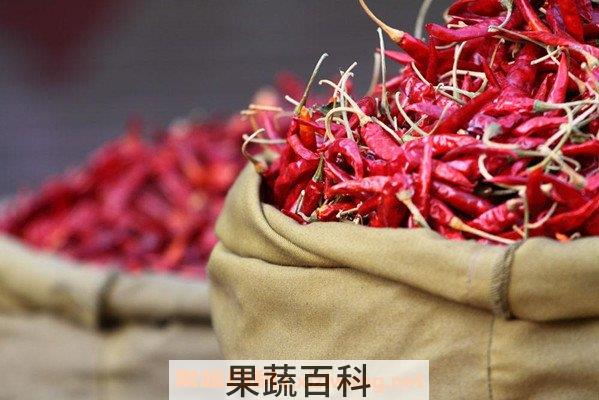 干辣椒