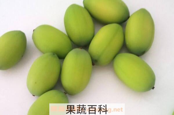 莲蓬籽生吃的作用与功效
