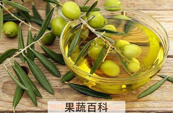 橄榄油