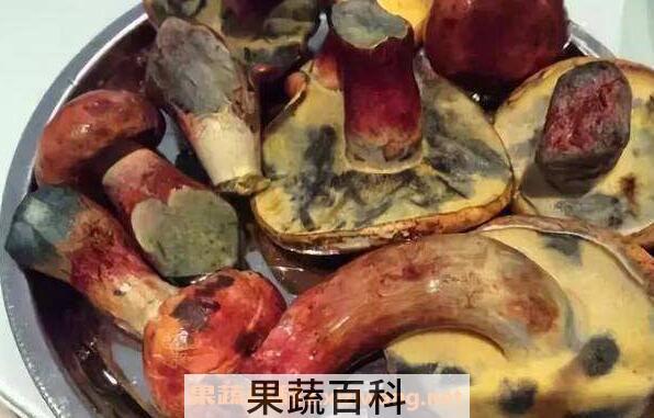 见手青的功效与作用 吃见手青的好处