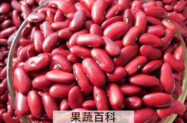 红芸豆和红腰豆的区别 红芸豆的功效