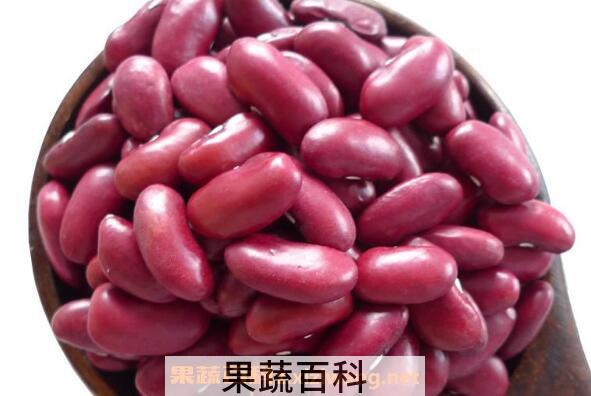 红芸豆和红腰豆的区别 红芸豆的功效