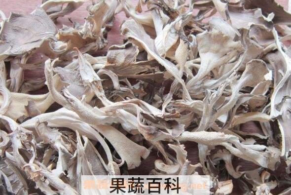 灰树花的功效与作用 吃灰树花的好处