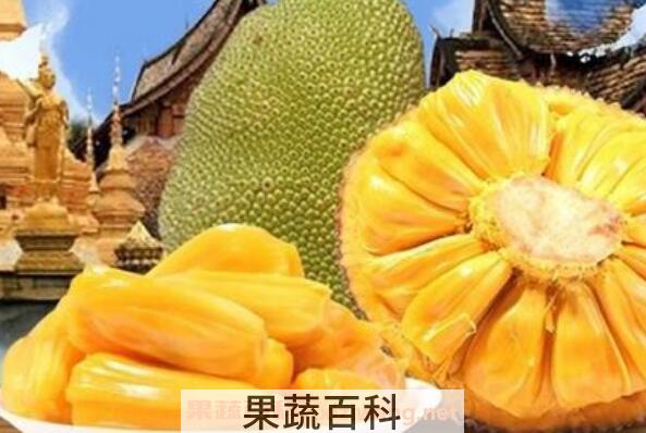 如何挑选菠萝蜜 如何看菠萝蜜是否成熟