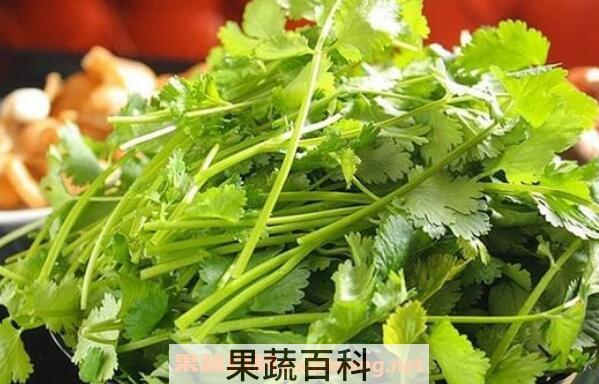 香菜煮水喝有什么功效