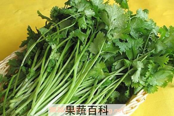 香菜煮水喝有什么功效