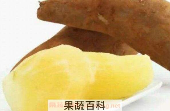 雪莲果可以生吃吗 女生吃雪莲果的坏处