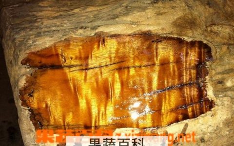 金丝楠木的功效与作用及禁忌 金丝楠木的功效与作用和寓意