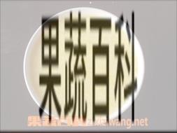 果蔬百科玉米粥