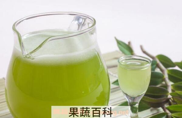  铁皮石斛可以泡茶喝吗 铁皮石斛怎么泡茶喝
