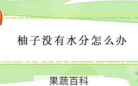柚子没有水分怎么办