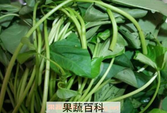 地瓜叶的副作用 吃地瓜叶的禁忌