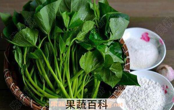 地瓜叶的副作用 吃地瓜叶的禁忌