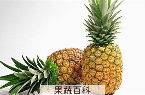 菠萝