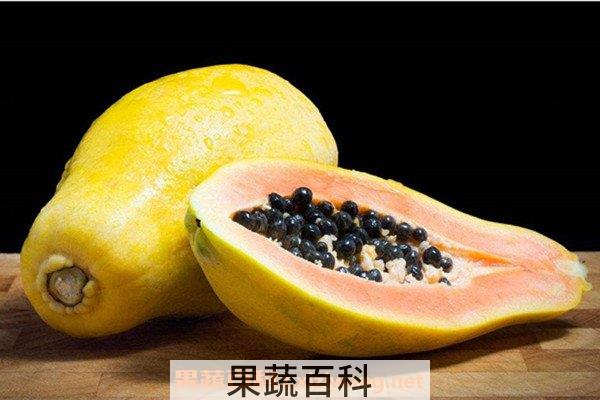 木瓜酵素