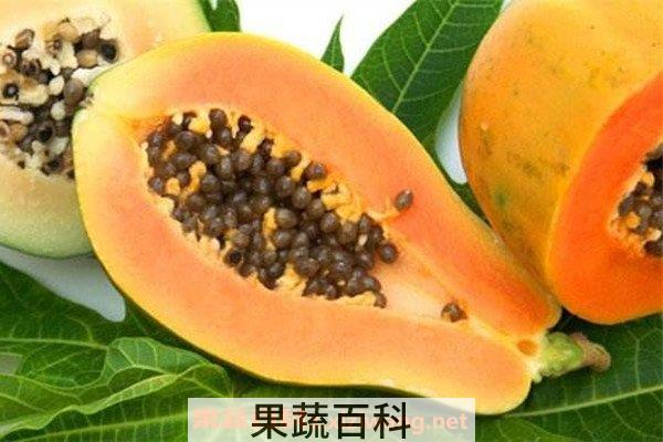 木瓜酵素