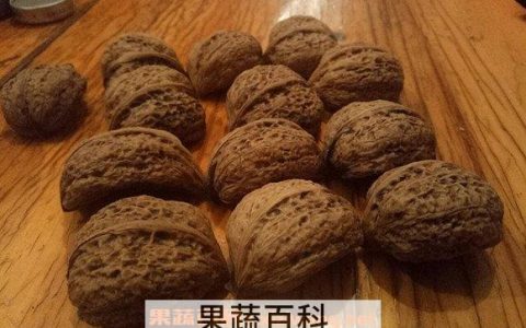 山核桃泡酒治什么病? 山核桃泡酒的功效和作用