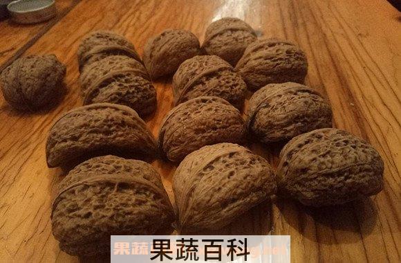山核桃