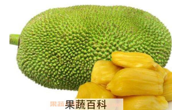 菠萝蜜怎么吃 菠萝蜜的正确食用方法