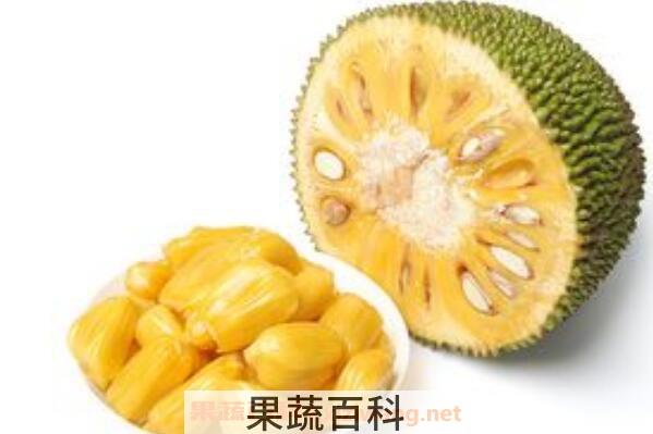 菠萝蜜怎么吃 菠萝蜜的正确食用方法