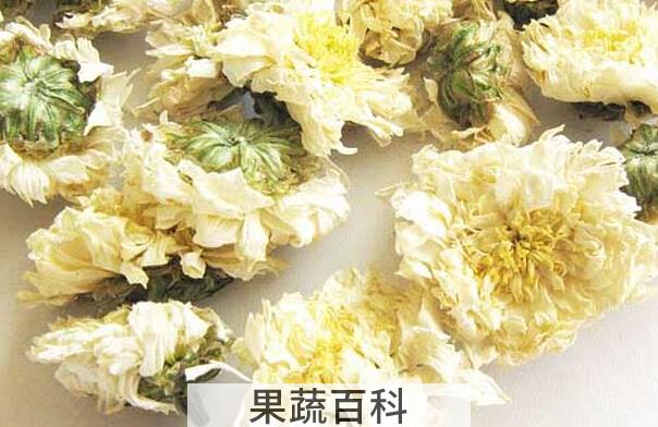 果蔬百科黄山贡菊