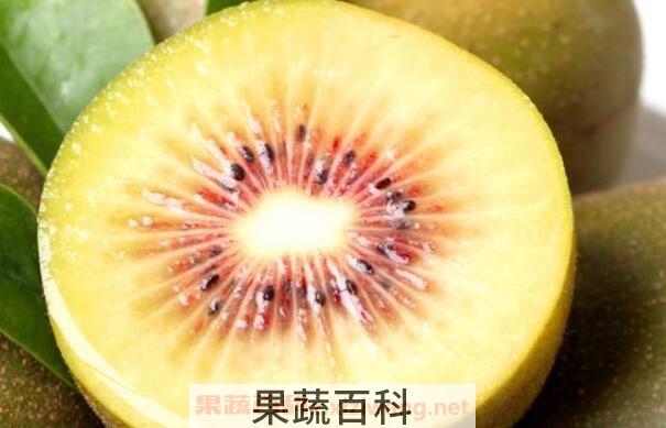 猕猴桃怎么吃减肥