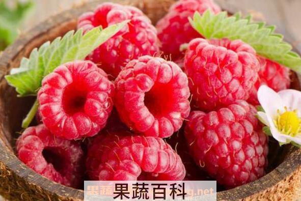 刺泡儿和覆盆子的区别 刺泡儿的常见吃法