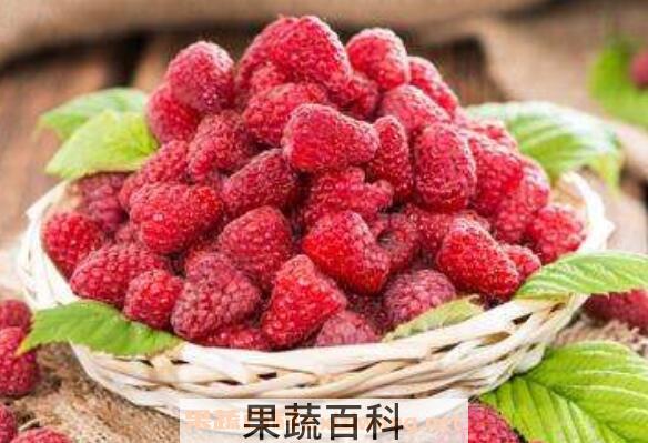 刺泡儿和覆盆子的区别 刺泡儿的常见吃法