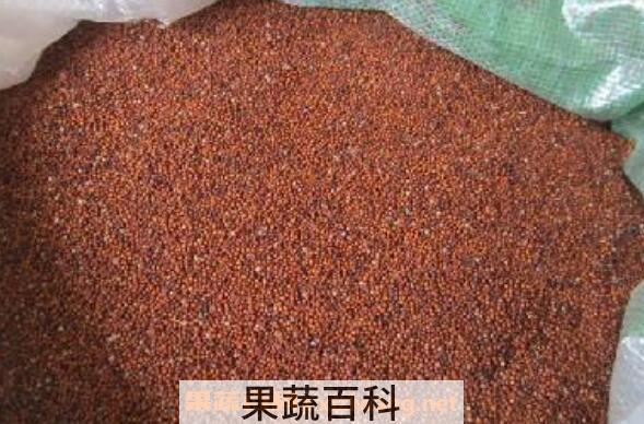 鸭脚粟什么人不可以吃 鸭脚粟的禁忌