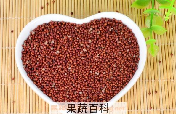 鸭脚粟什么人不可以吃 鸭脚粟的禁忌