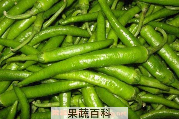 杭椒