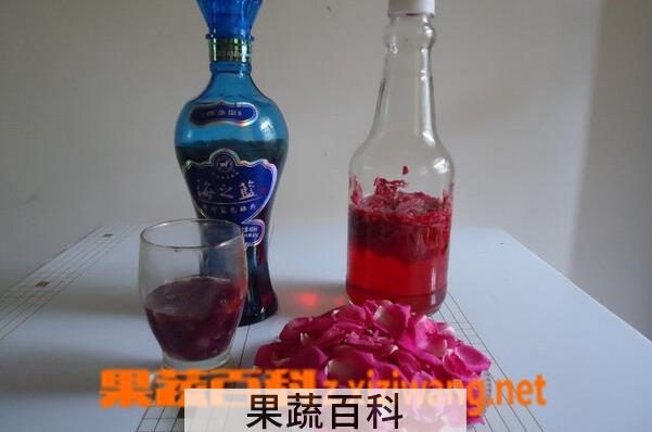 果蔬百科玫瑰花泡酒