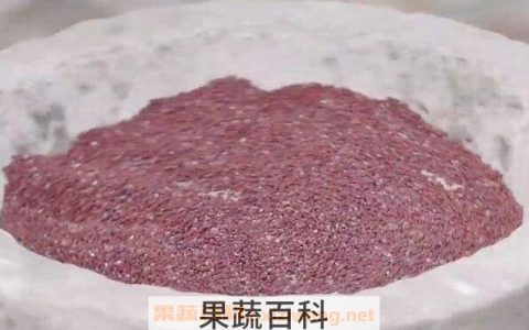 红稗的药用功效 红稗是什么