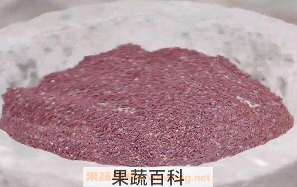 红稗怎么吃 红稗的食用方法