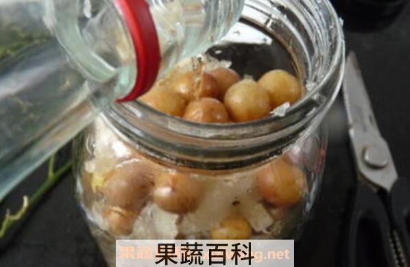 黄皮果泡酒作用与功效 黄皮果泡酒有什么作用
