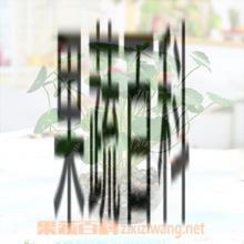 果蔬百科金钱草的功效与作用