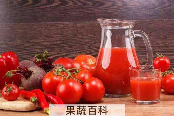 西红柿酵素