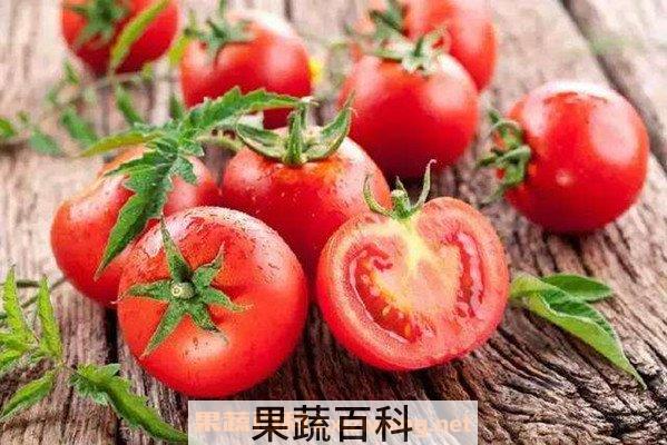 西红柿酵素