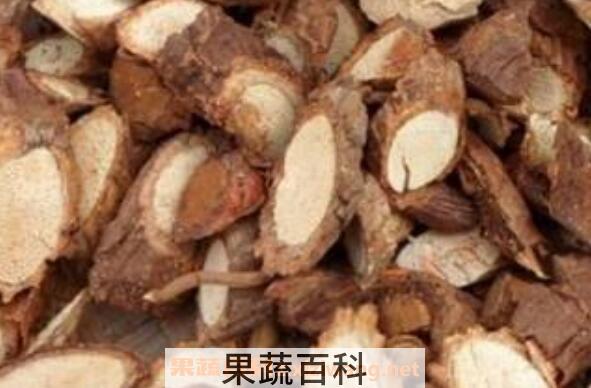猕猴桃根的功效与作用 猕猴桃根有抗癌作用吗