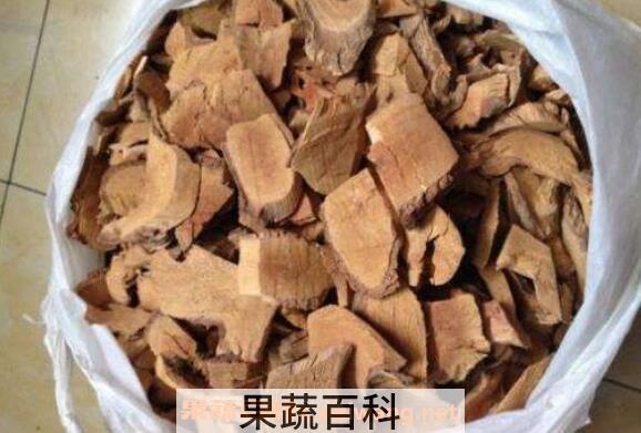 猕猴桃根的功效与作用 猕猴桃根有抗癌作用吗