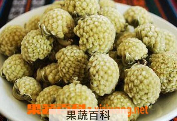 果蔬百科野生绿萝花